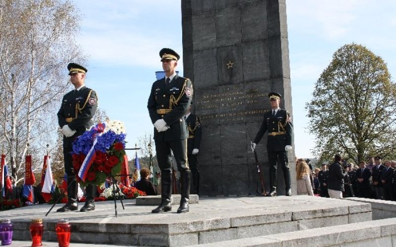 cvibelj001.jpg