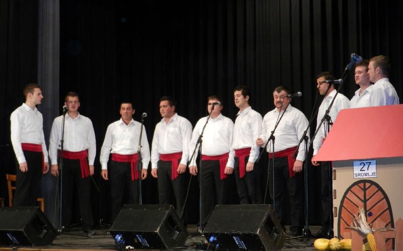 koncert___hi__ica_za_mimico_002.jpg
