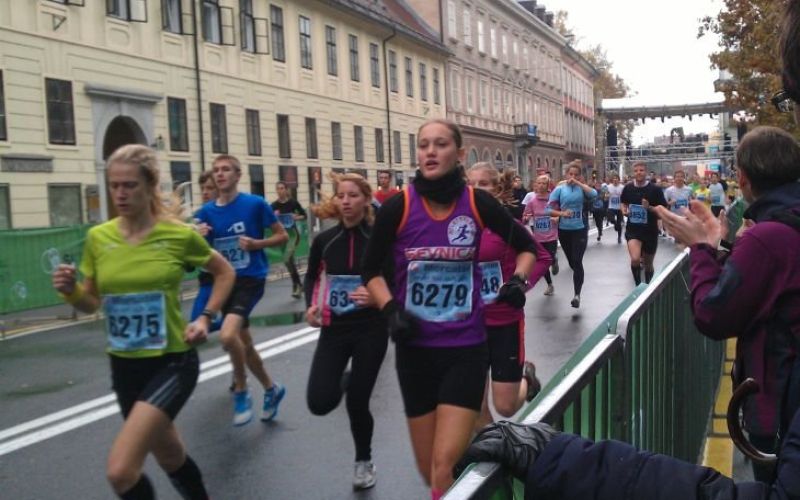 maja_medved2.jpg