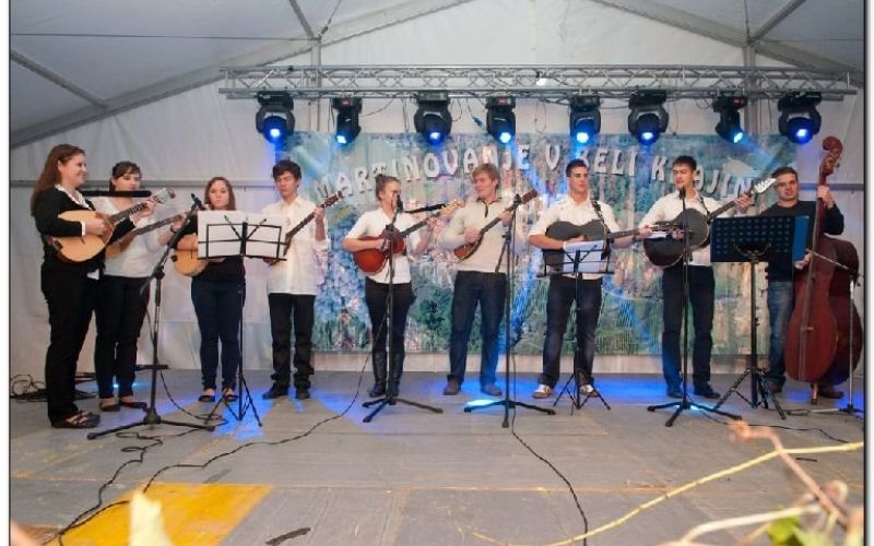 003_martinovanje_2012___rnomelj.jpg