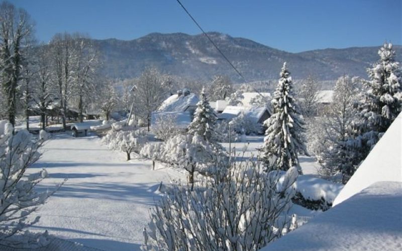 susice_001.jpg