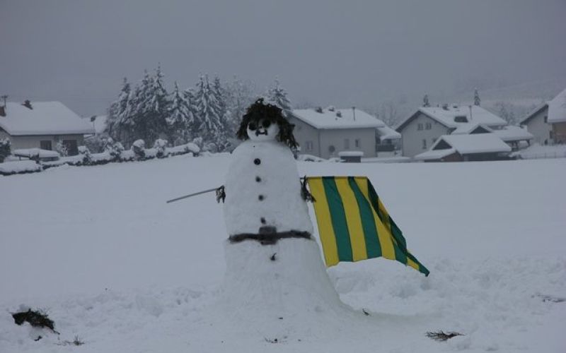 metliski_huligan.jpg