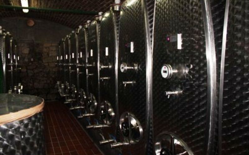 vino_001.jpg