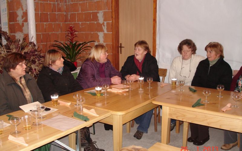 zbor___lanov_2013__2.jpg