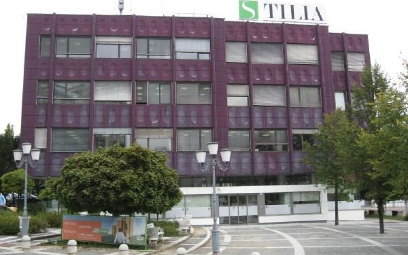 tilia.jpg