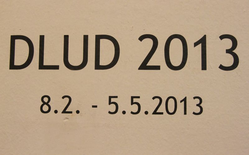 dlud__00_.jpg