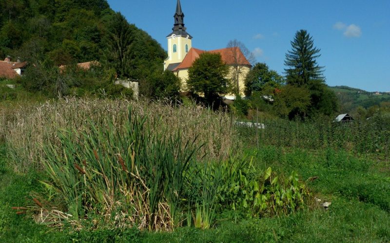 r__n_podsreda_1.jpg