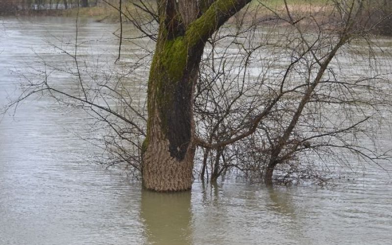 poplave0008.jpg