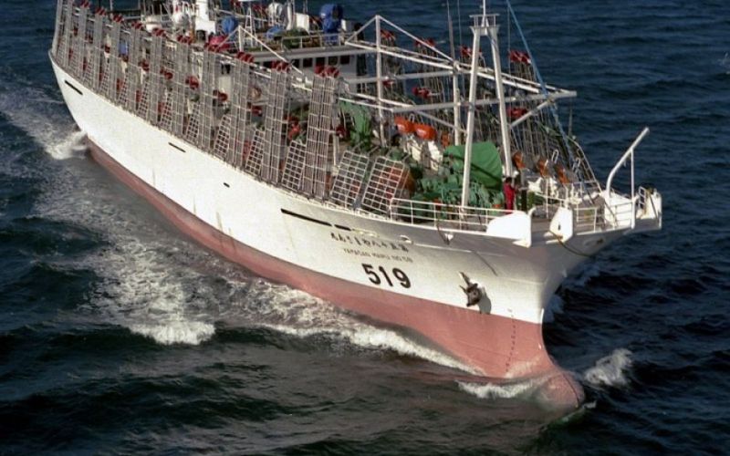 uvodna