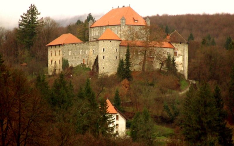 uvodna