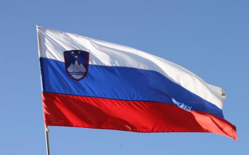 slovenska_zastava.JPG