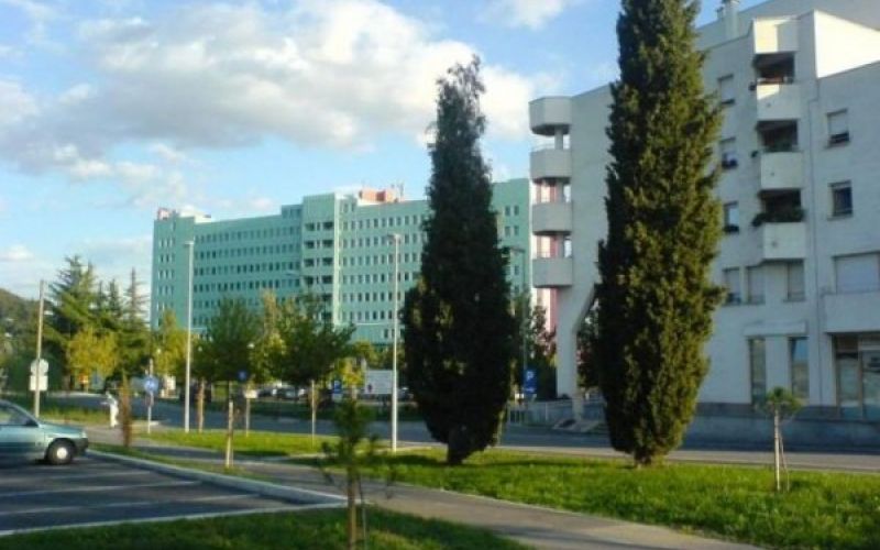 uvodna