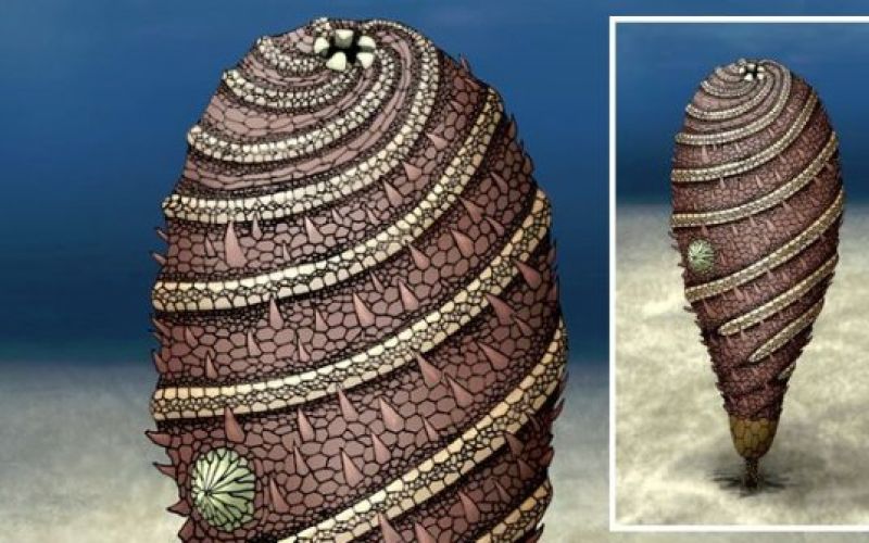 uvodna