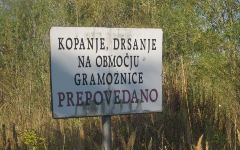 uvodna