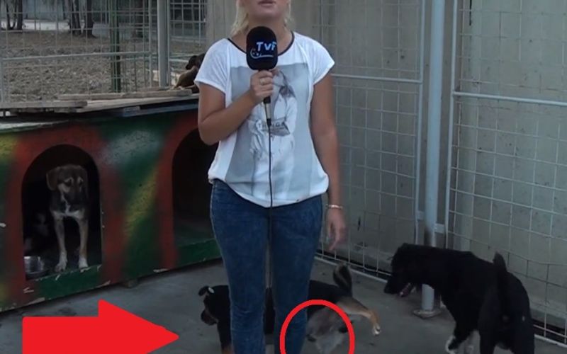 LULANJE V POSTELJO
