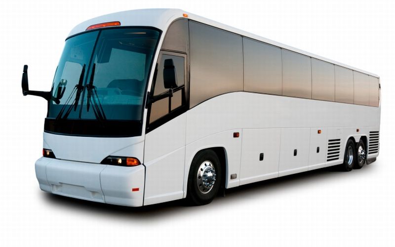 Bus.jpg