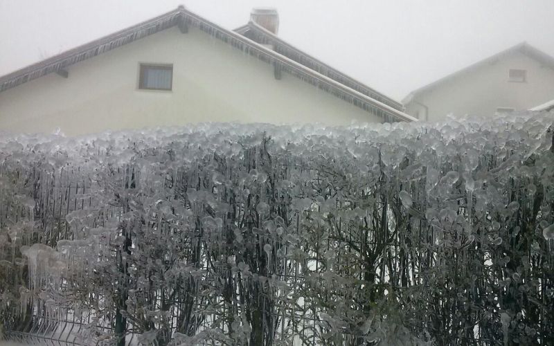 postojna žled3.jpeg