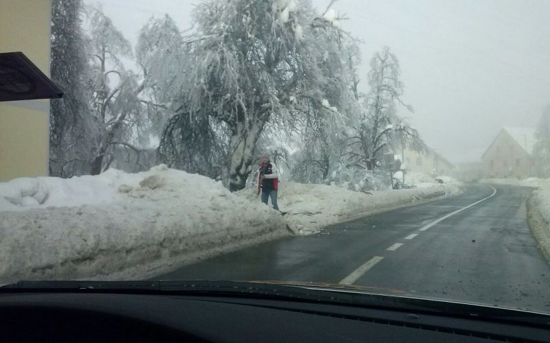 Postojna sneg led.jpeg