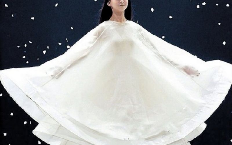 Wei Caiqi