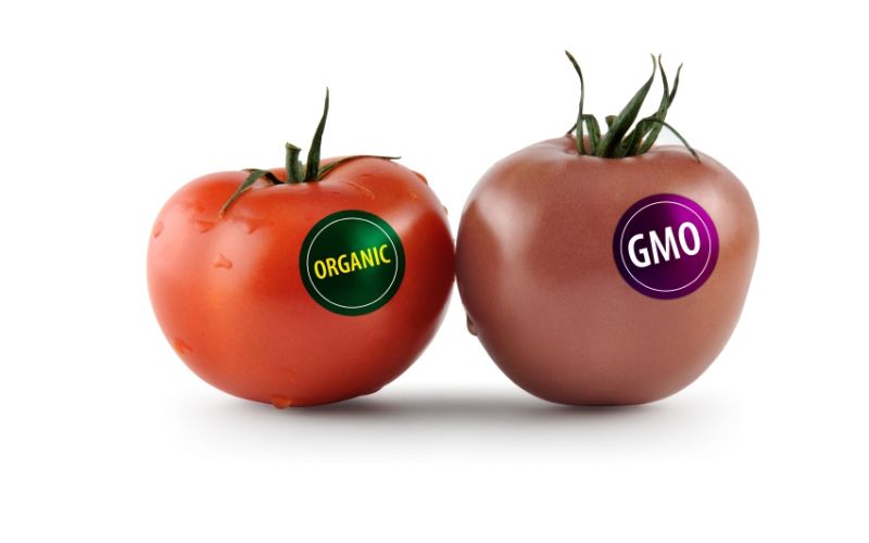 genetically-modified-food1.jpg