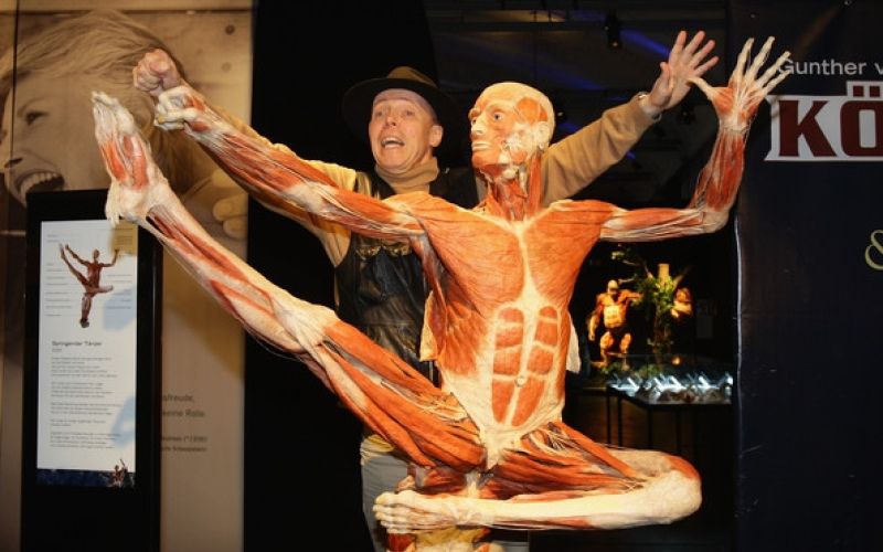 Body+Worlds+Exhibition+Gunther+Von+Hagens+EHDPueoAav1l.jpg
