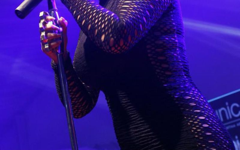 seka aleksić