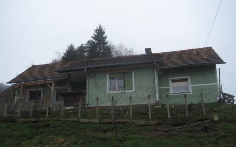 uvodna