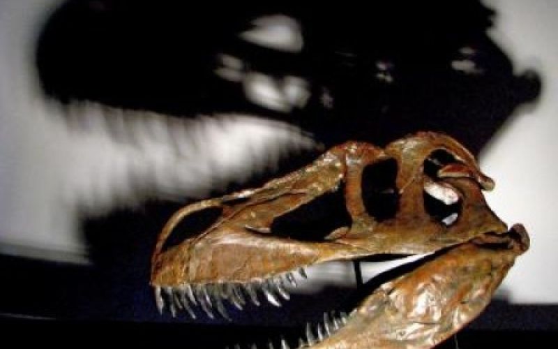 Dinozaver.jpg