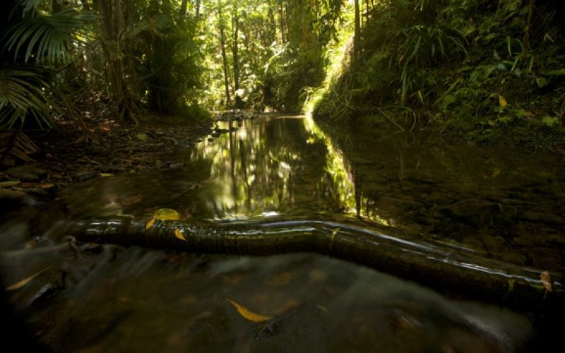 Cooper Creek