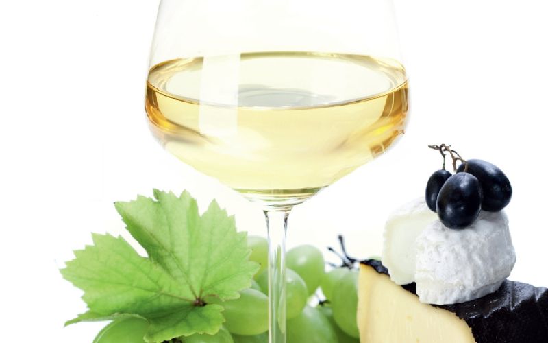 Vino.jpg
