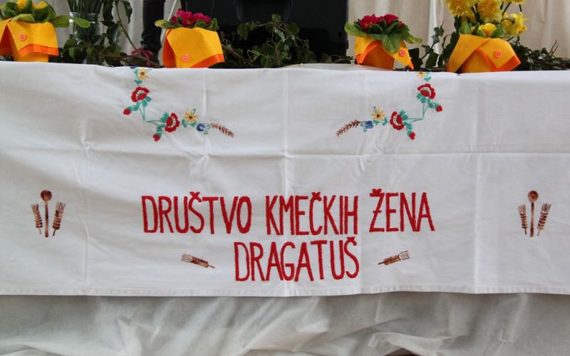 t_dragatus_001.jpg