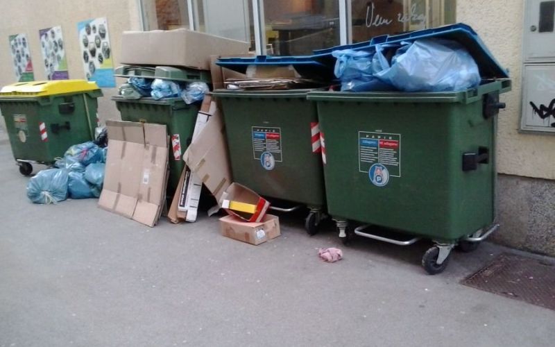 utrinek.jpg