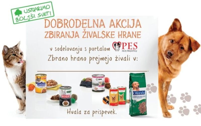 lidl2.jpg