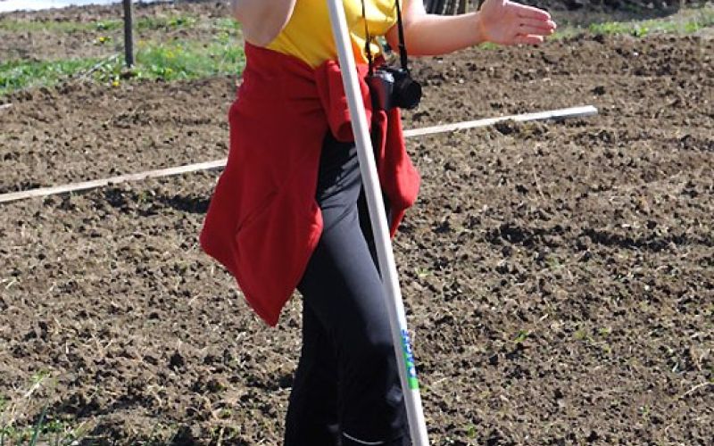cob_9998.jpg