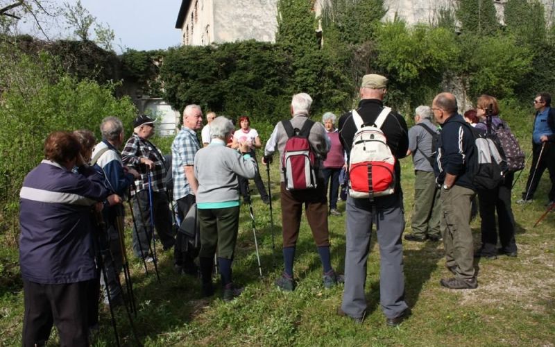 trska_gora_1.jpg
