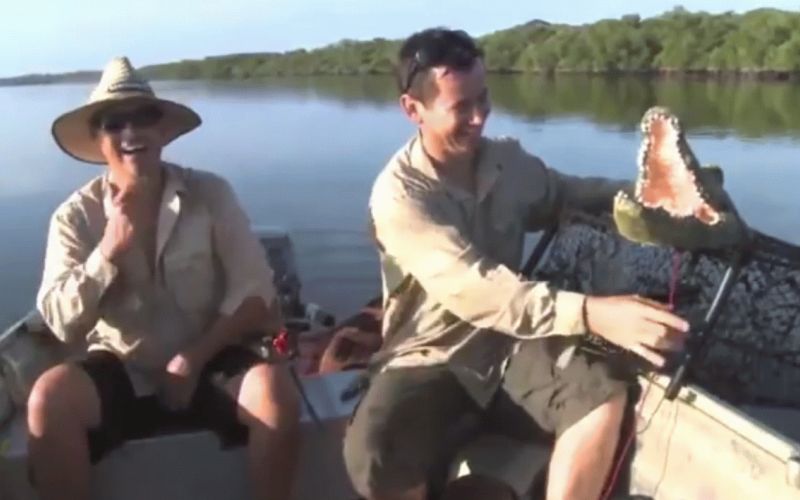 krokodil.gif