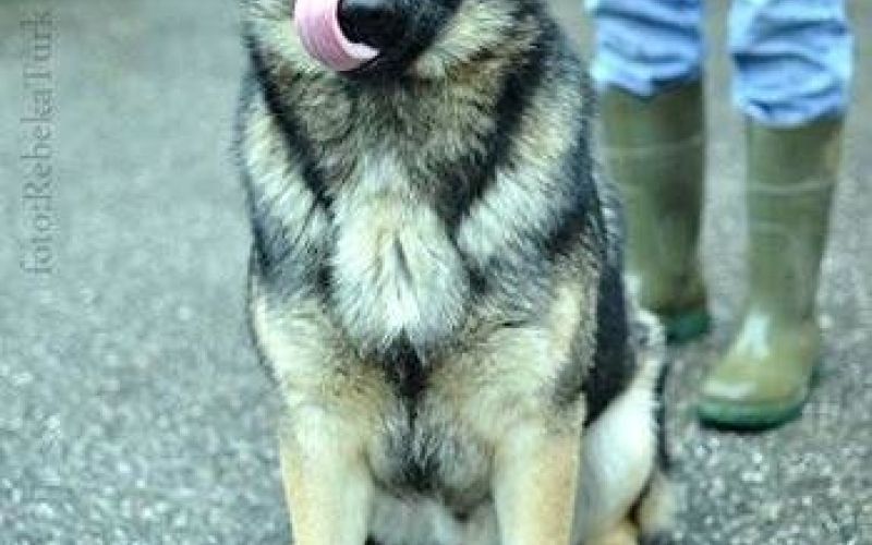 kuza_000.jpg