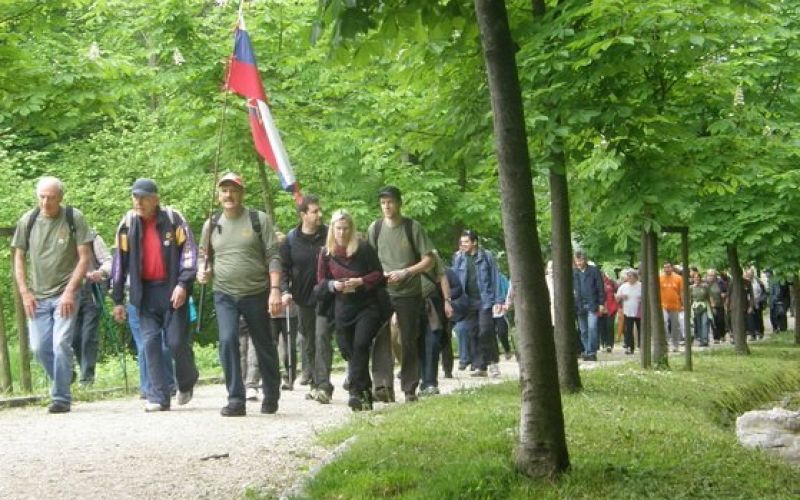 ob_zici_nm_05_000.jpg