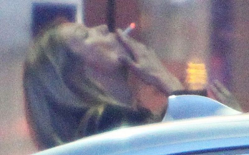 Kate Moss.jpg