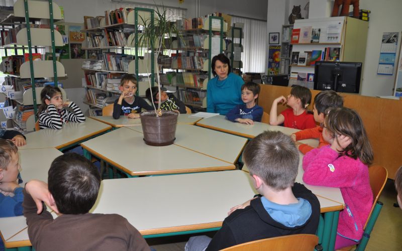 z_svetovni_001.jpg