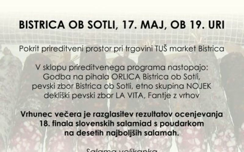 z_letak_18_finale_slovanskih_salamiad.jpg