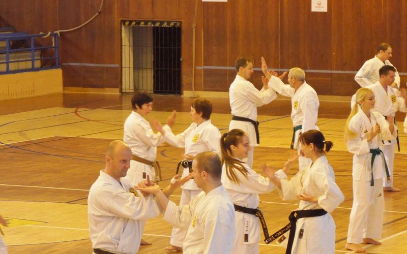 z_karate_001.jpg