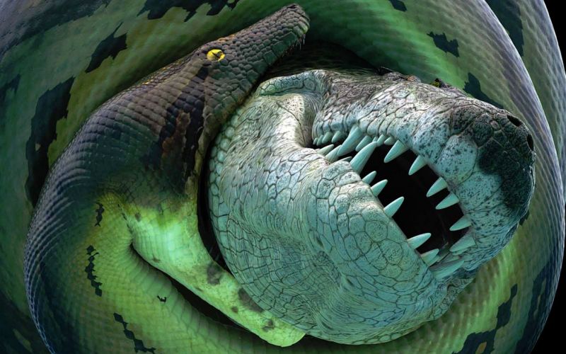 Titanoboa.jpg