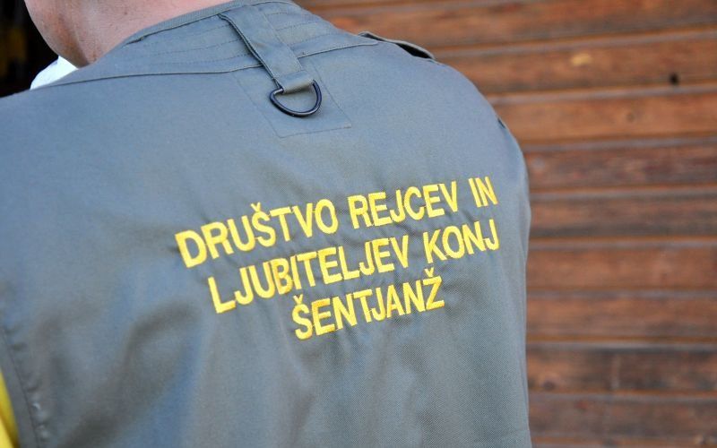 z_konjenico_001.jpg
