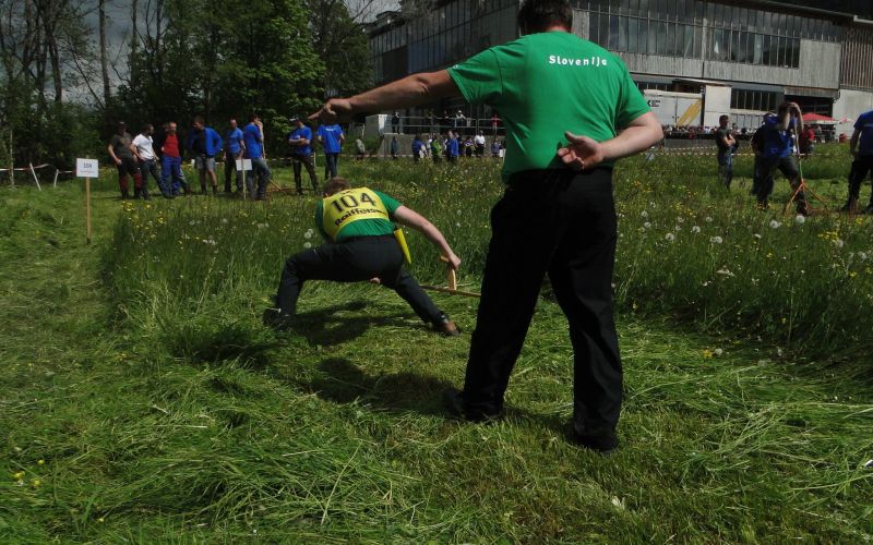 david_avgu__tin__i___avstrija.jpg