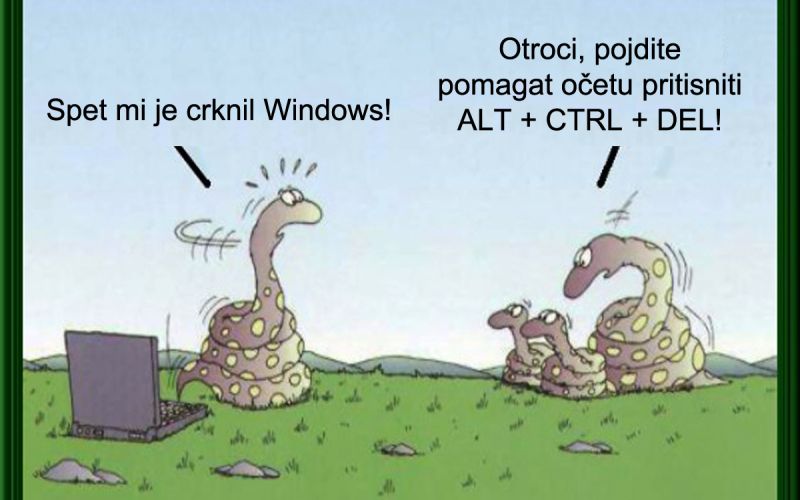 48_karikatura.jpg
