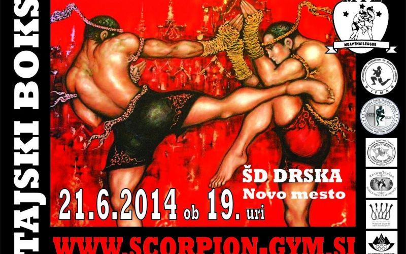 ztajski_boks_plakat_junij2014.jpg