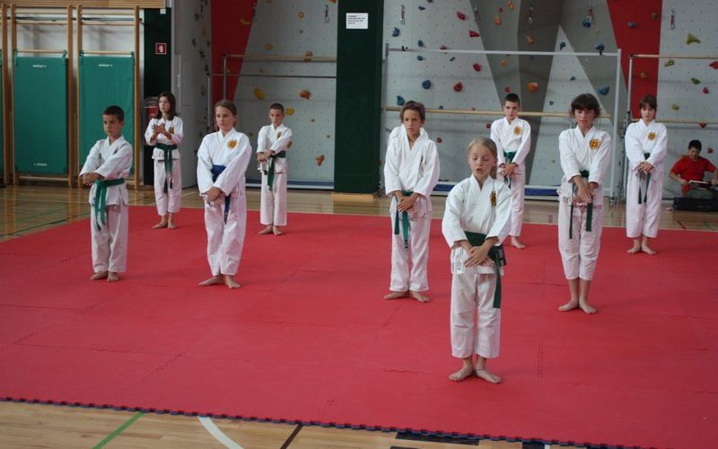 z_karate_001.jpg