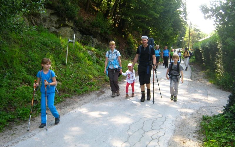 l_pohorje_001.jpg