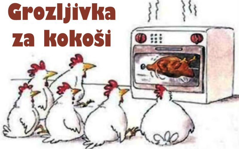 48_karikatura.jpg